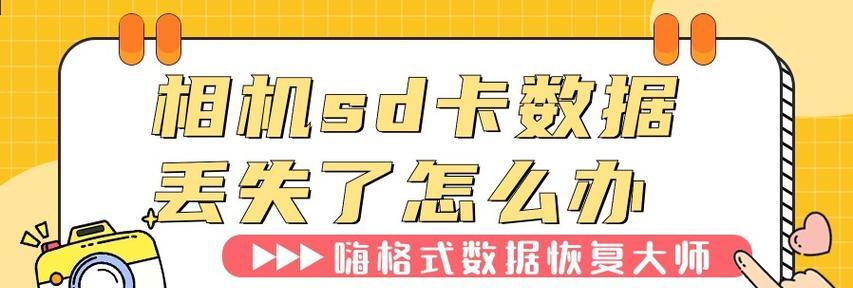 SD卡数据受损的恢复方法与技巧（解决SD卡数据丢失问题的有效途径）