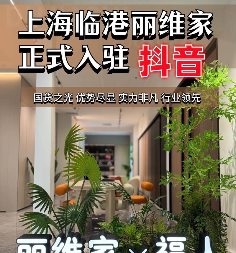 丽维家定制家具（精细工艺、优质材料、专业团队，让您的家居梦想变为现实）