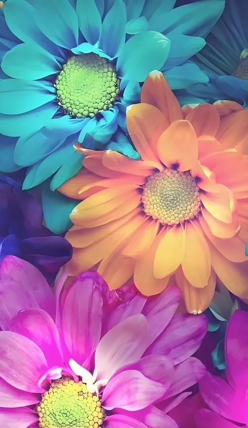 如何使用苹果手机护眼壁纸保护眼睛健康（一步步教你设置苹果手机护眼壁纸，远离眼疾问题）